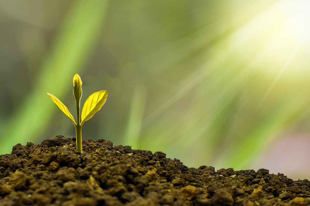 Die Rolle von Innovation in kleinen Unternehmen